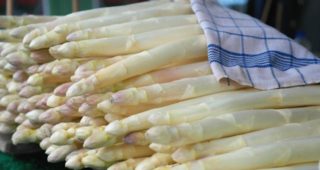 white_asparagus_newsletter