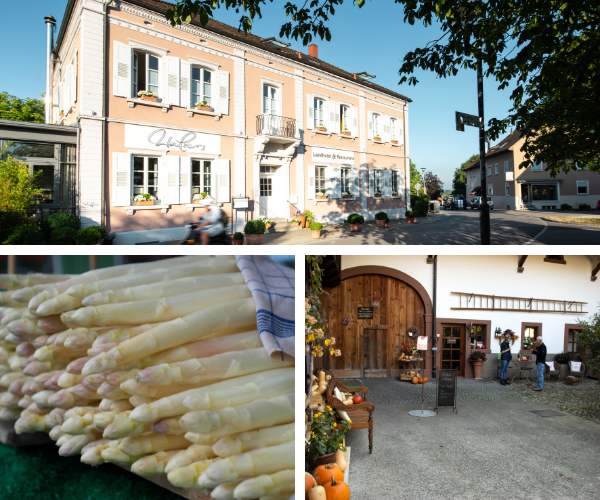 Asparagus_event_collage