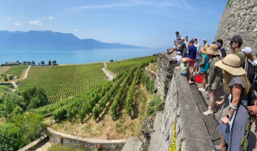 Lavaux_Panorama_Cornell_Club_Switzerlant