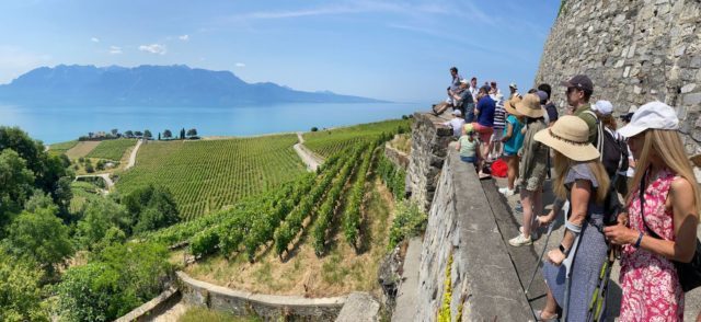 Lavaux_Panorama_Cornell_Club_Switzerlant
