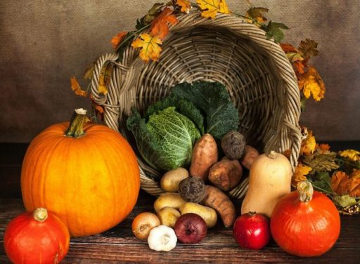 thanksgiving_pumpkins_display