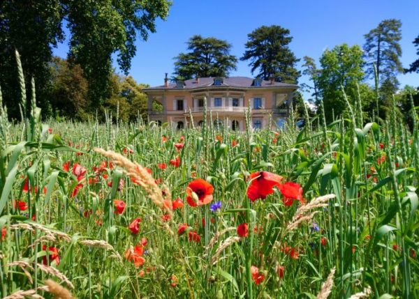 Exclusive Visit to Fondation de l’Hermitage in Lausanne