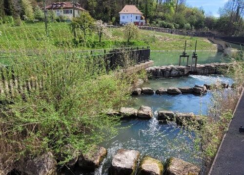 Hike 2026 river canal
