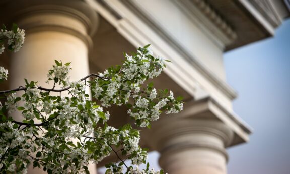GoldwinSmithHall-Spring